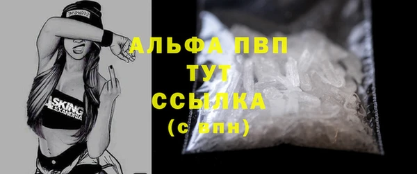 шишки Грязовец