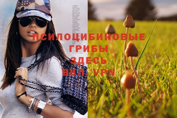 кокаин премиум Алексеевка