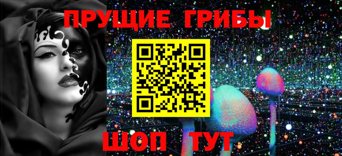 Псилоцибиновые грибы мицелий  Вход с VPN  Гурьевск 